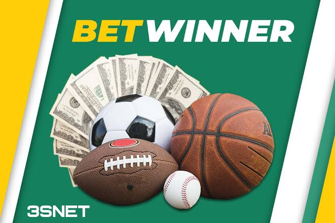 Discover the Exciting World of BetWinner Bookmaker